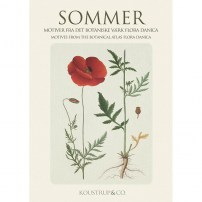 Kartenordner Sommer mit 8 Doppelte Kunstkarten und Umschläge 10.00